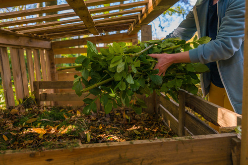 Jak zbudować skrzynki warzywne i kompostownik: kompletny poradnik dla początkujących